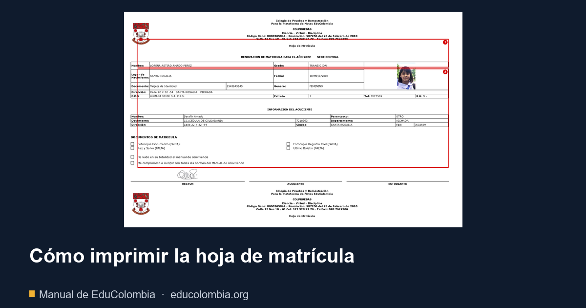 Cómo imprimir la hoja de matrícula