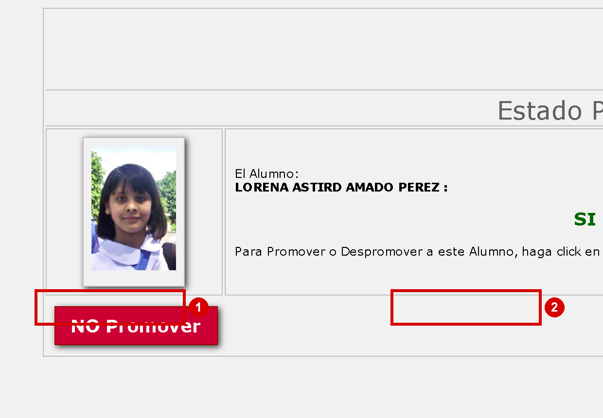 Ventana de estado de promoción del alumno